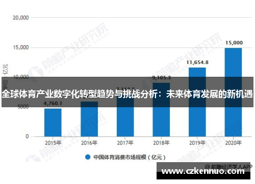 全球体育产业数字化转型趋势与挑战分析：未来体育发展的新机遇